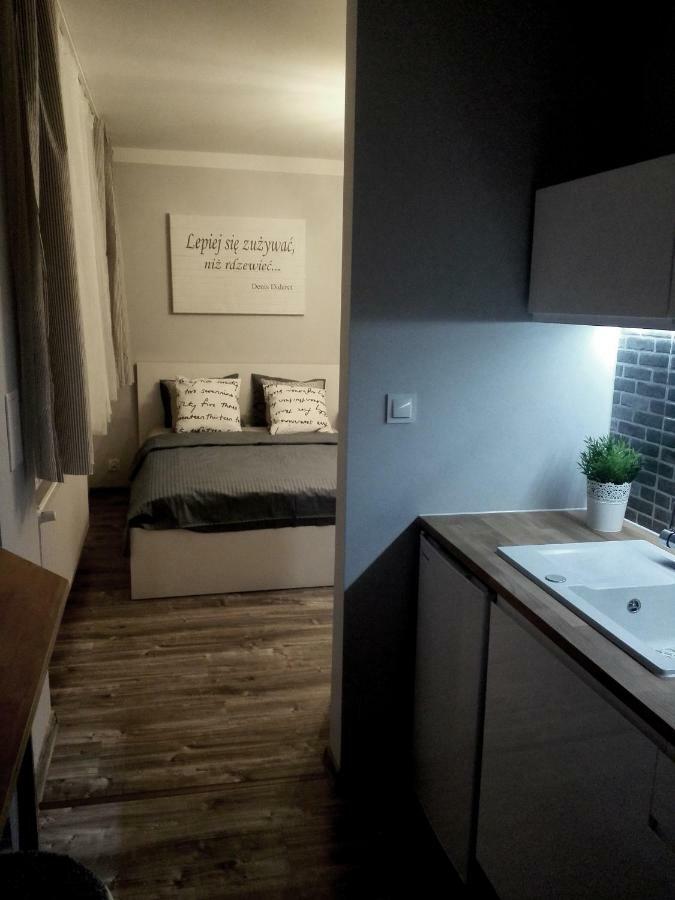 Apartment Grey Centrum *
